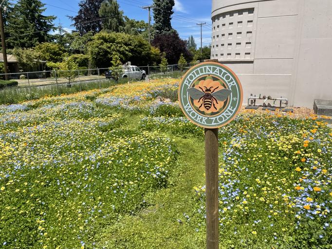Bees, trees, and fields of green: How City Light practices environmental stewardship in landscaping