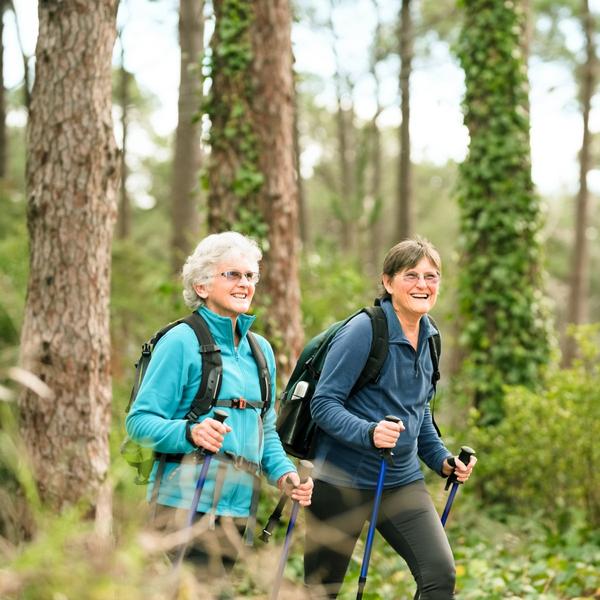 Holiday planning: Can you go hiking with arthrosis?