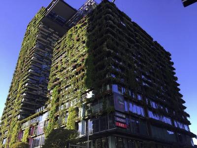 Is the boom in green roofs and living walls good for sustainability?