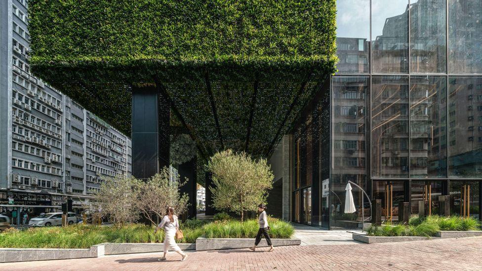 Is the boom in green roofs and living walls good for sustainability? 