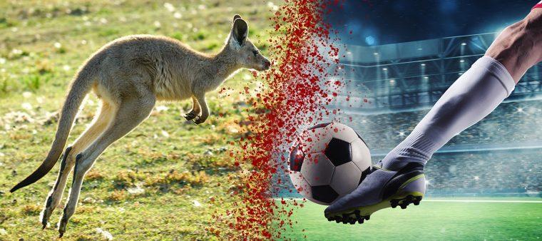Nike beschuldigt, Kängurus für Fussballschuhe in den Tod zu treiben 