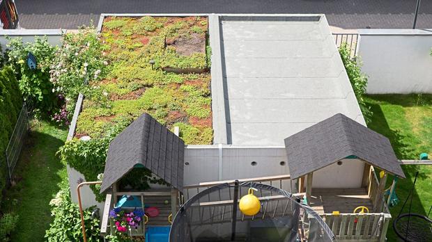 Here's why your home's flat roof should be part of the garden Trending in Lifestyle Others Also Read