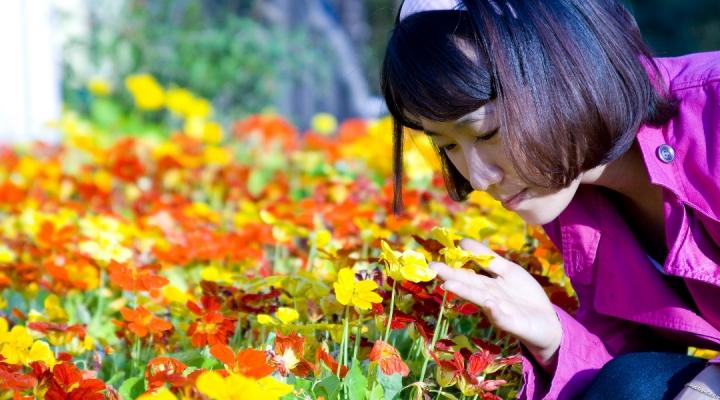 Master Gardeners: Fragrance in the garden | Home And Garden | victoriaadvocate.com