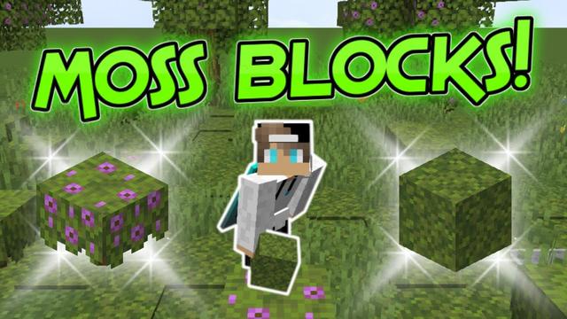screenrant.com Minecraft: How to Get (& Use) Moss Blocks