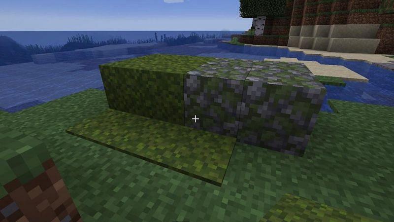 screenrant.com Minecraft: How to Get (& Use) Moss Blocks 