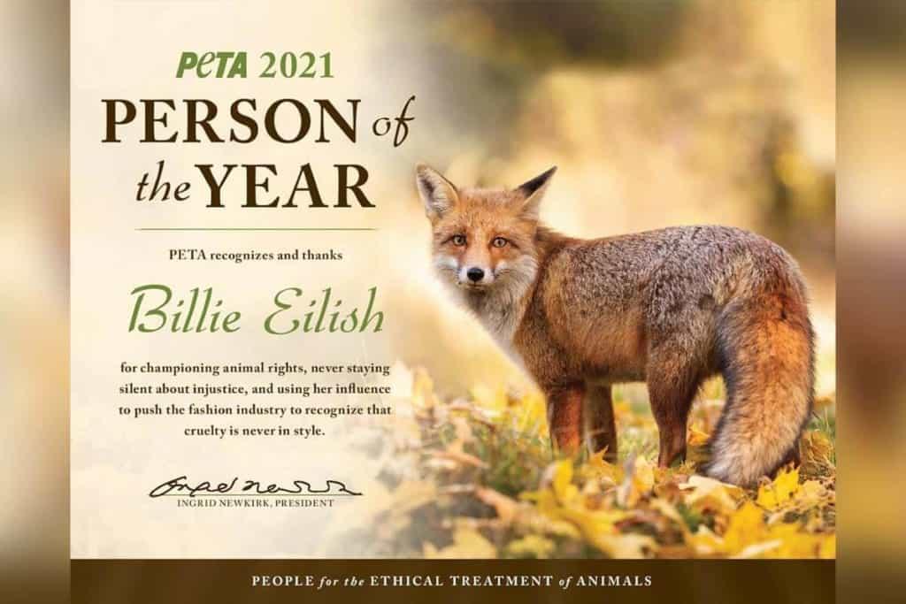 Billie Eilish ist PETAs 'Person des Jahres' 2021 - vegconomist: Das vegane Wirtschaftsmagazin close 