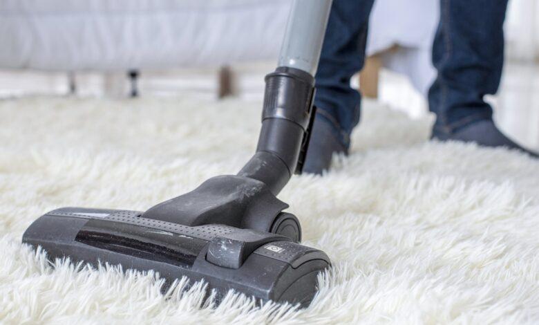 Gross reason you should be 'raking' your carpet before vacuuming, according to TikTok