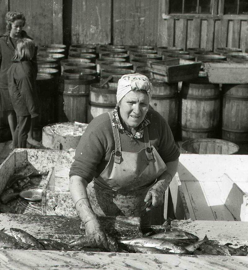How Iceland’s Herring Girls Helped Bring Equality to the Island Nation