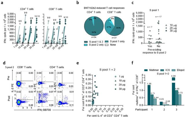 BNT162b2 vaccine induces neutralizing antibodies and poly-specific T cells in humans