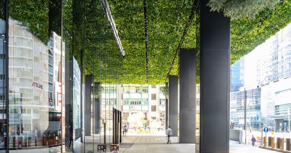 Greening the Concrete Jungle: Hong Kong’s Eco Transformation