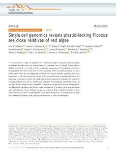Single cell genomics reveals plastid-lacking Picozoa are close relatives of red algae 