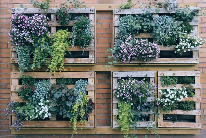 21 vertical garden ideas – DIY looks using planters, trellis and more for small spaces