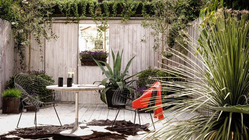 Privacy fence ideas: 12 stylish ways to up the privacy in your garden