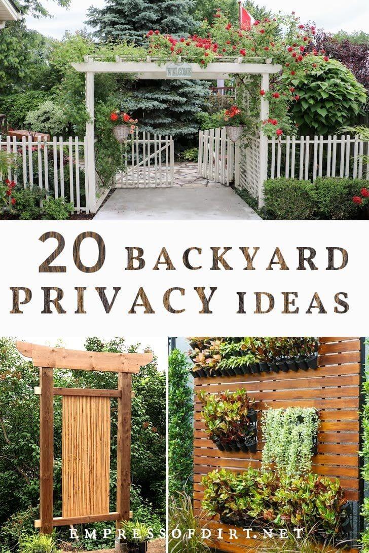 Privacy fence ideas: 12 stylish ways to up the privacy in your garden 
