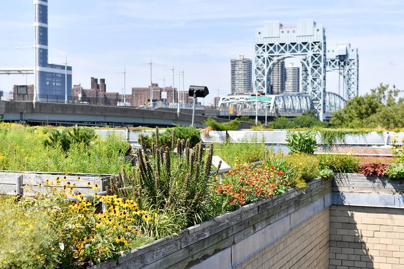 NYC High Schoolers to Build Green Roofs in New Parks Dept. Program City Limits Newsletters City Limits Newsletters 