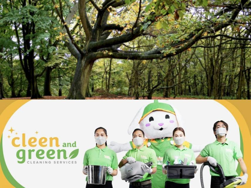 Start your own cleaning franchise during the pandemic with Cleen And Green Cleaning Services.