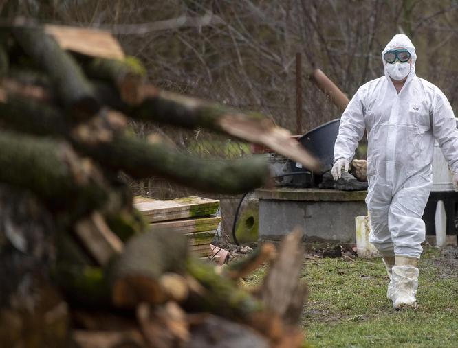 Germersheim – Vogelgrippe breitet sich weiter aus – Tierhalter sollen bitte vorsorglich ab sofort Maßnahmen ergreifen