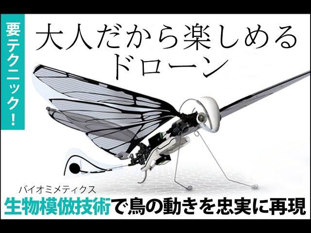 Engadget Logo
エンガジェット日本版 本物の鳥を操るような感覚。大人のためのラジコン飛行機「MetaFly」 
