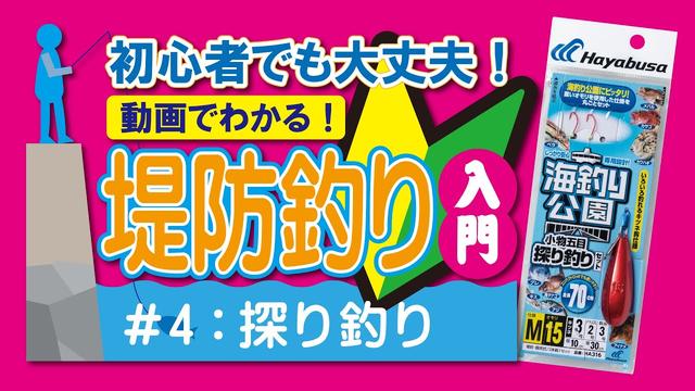 釣り用仕掛けの作り方ってどうすればいいの？防波堤で探り釣りを楽しみたい (2021年10月6日) - エキサイトニュース
