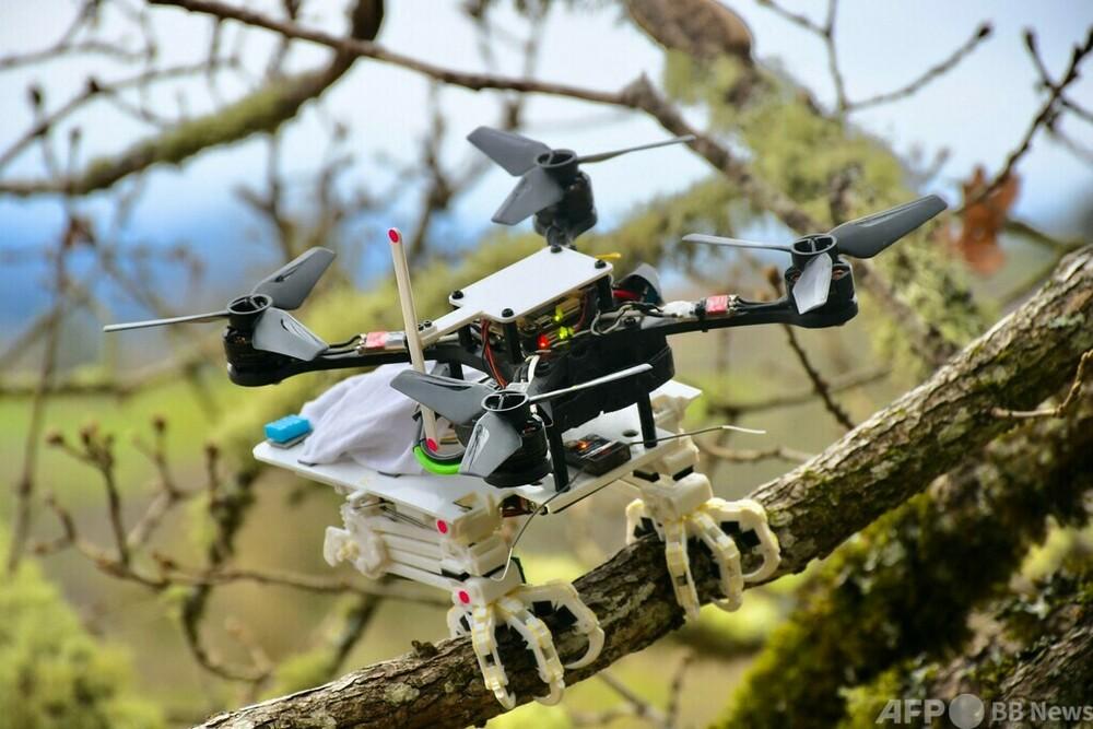 Robot Development Stanford University (AFPBB NEWS) that is stopped on branches like birds --Yahoo! News