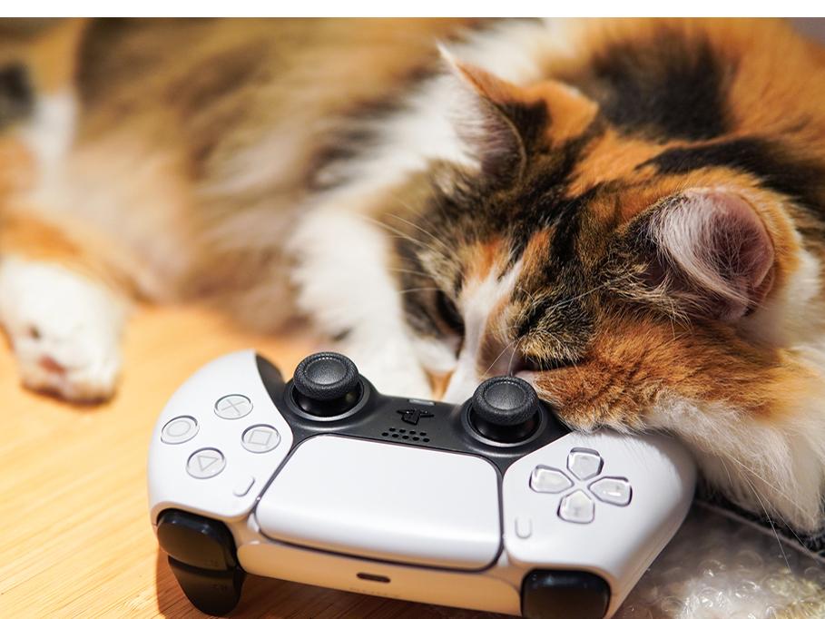 PS5リモートプレイでスマホから遊ぶ【自宅Wi-Fiの“わからない”をスッキリ！】 - INTERNET Watch 