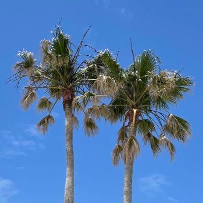 Engadget Logo
エンガジェット日本版 「拡大鏡」がデフォルトアプリに!スマホがすぐに虫眼鏡になります:iPhone Tips【iOS 15パプリックベータ】 Engadget Logo
エンガジェット日本版 「拡大鏡」がデフォルトアプリに!スマホがすぐに虫眼鏡になります:iPhone Tips【iOS 15パプリックベータ】