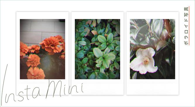 ISUTA can make any kind of painting very fashionable. Polaroid-style APP "InstaMini" can only get 10 pictures a day. It is very popular.