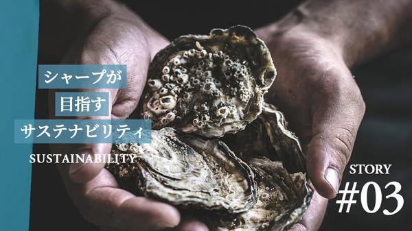  Save the future of Hiroshima oyster farming? Get behind the scenes of the latest technology to solve production issues! | My Navi News My Navi News My Navi