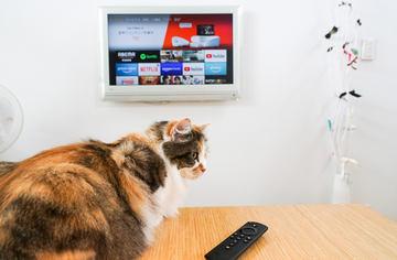Amazon「Fire TV Stick」を低速モバイル回線で活用してみる【自宅Wi-Fiの“わからない”をスッキリ！】 - INTERNET Watch 
