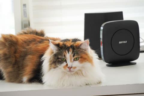 バッファローのWi-Fi 6ルーターを「Wi-Fi EasyMesh」のエージェントに設定【自宅Wi-Fiの“わからない”をスッキリ！】 - INTERNET Watch