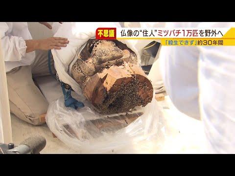 仁王像の頭の中にミツバチの“巣”が…（日本テレビ系（NNN）） - Yahoo!ニュース
