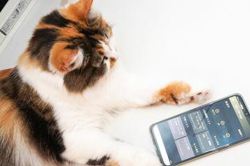 スマホの「torne mobile」でバッファロー版「nasne」の初期設定をする【自宅Wi-Fiの“わからない”をスッキリ！】 - INTERNET Watch 