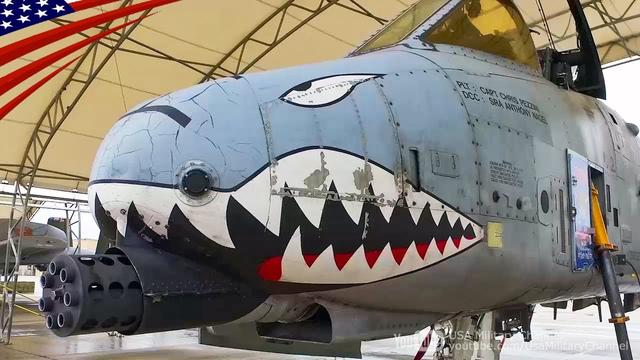 アメリカ空軍の攻撃機A-10に「サメの歯」が描かれるようになった理由（BUSINESS INSIDER JAPAN） - Yahoo!ニュース 