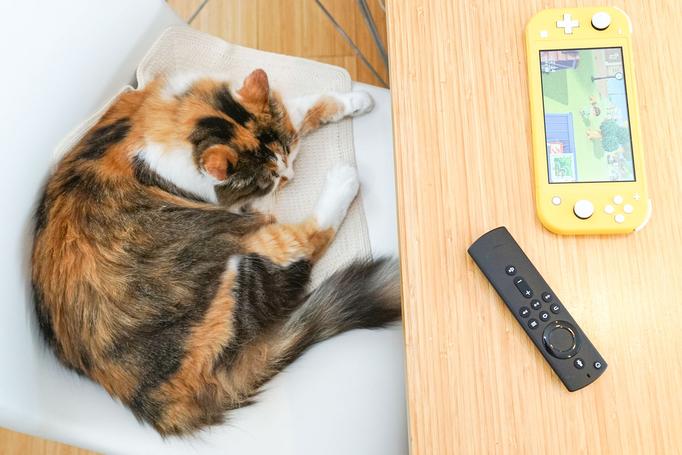 Amazon「Fire TV Stick」の「ライブ」タブで生配信番組を楽しもう【自宅Wi-Fiの“わからない”をスッキリ！】 - INTERNET Watch