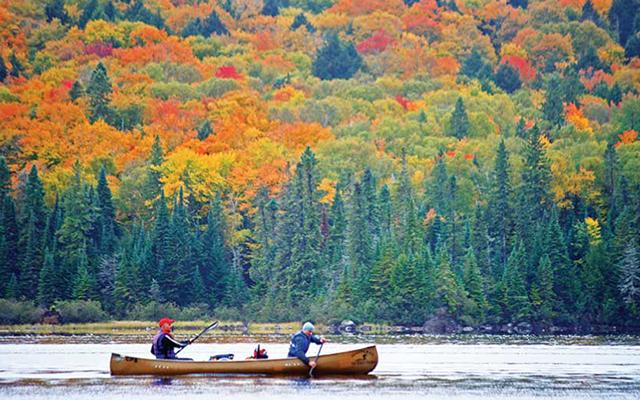 Ontario park map with beautiful autumn scenery | Anticipating autumn in Ontario and Toronto | TORJA