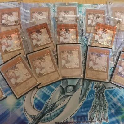 “日の丸ヤミ金”奨学金　私はこうして一括請求を撃退した！（中）（週刊金曜日） - Yahoo!ニュース
