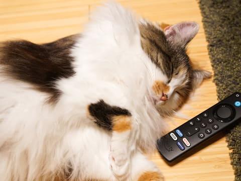 Amazon「Fire TV Stick」の便利なリモコンアプリ設定【自宅Wi-Fiの“わからない”をスッキリ！】 - INTERNET Watch 