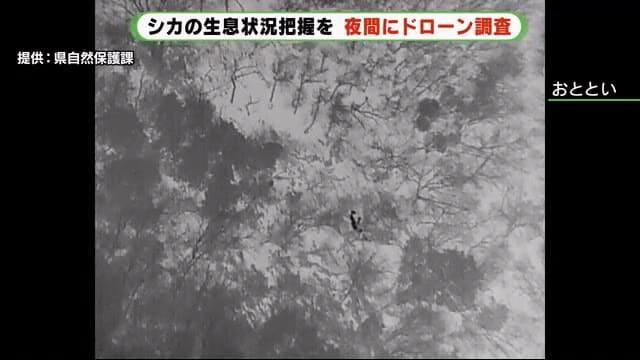 シカの“黒い影”発見　ドローンから赤外線カメラで効率的な捕獲　静岡・伊豆市