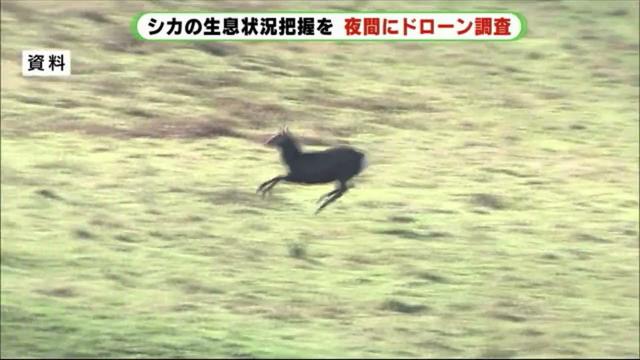 シカの“黒い影”発見　ドローンから赤外線カメラで効率的な捕獲　静岡・伊豆市 