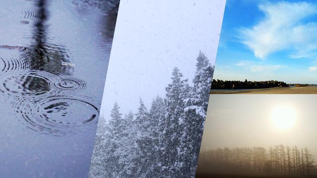 雨・雪・雲を自動判別する多周波気象レーダーシステムの開発を開始 | Weathernews Inc.