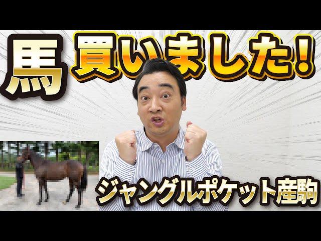 Jean Poke Saito purchased a racehorse "I really bought it" The price is "one domestic car" --Yahoo! News