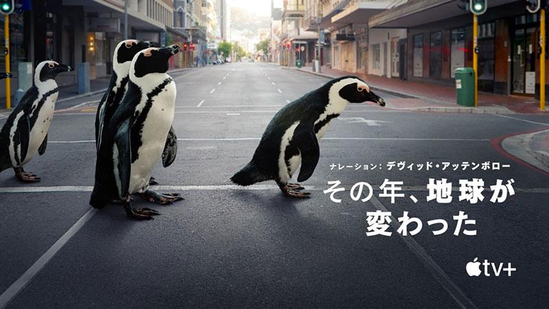 Apple TV+、アースデイ2021に先駆けて、希望にあふれる野生生物のドキュメンタリースペシャル「その年、地球が変わった」を発表。 