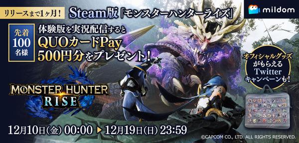アスキーゲーム:Steam版『モンスターハンターライズ』の体験版実況配信キャンペーンが12月10日0時より開催！