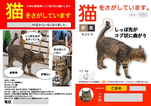 “うちの猫”がもし迷子になったら？　ペットレスキューがサポート、なるほど！効率よく捜せる方法とは｜まいどなニュース