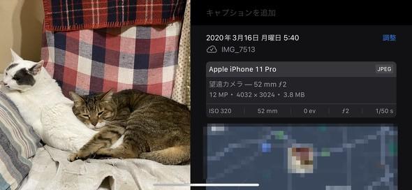 iPhoneの写真、「iCloud」と「Google フォト」どちらに保存する？　両者を改めて比較 