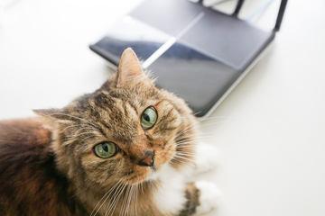 デフォルトゲートウェイって何？【“Wi-Fiの困った”を解決：基本編 第13回】 - INTERNET Watch 