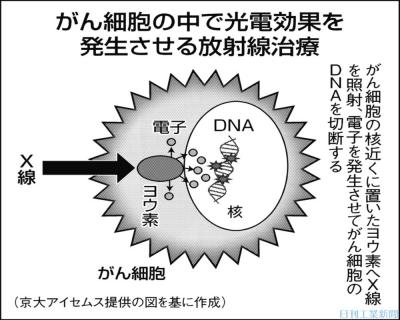 Kyoto University elucidates the optical characteristics of methylanumonium lead chloride | Science and Technology / University News | Daily Industry Newspaper Electronic Version