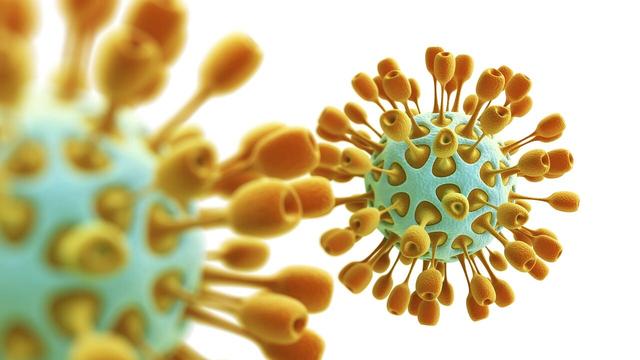 Tödlicher als das Coronavirus: Kommt mit Mers die nächste Pandemie?