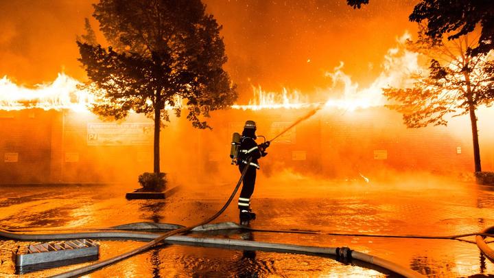 Notícias da Alemanha: Loja especializada em animais em Hamburgo queima completamente - suspeita de incêndio criminoso 