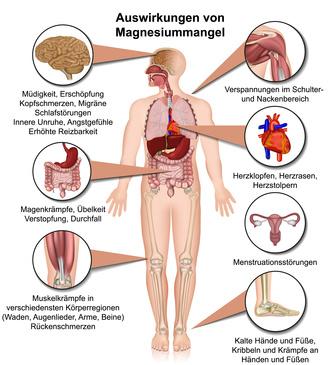 La contracción muscular habla de la deficiencia de magnesio: qué síntomas también son posibles